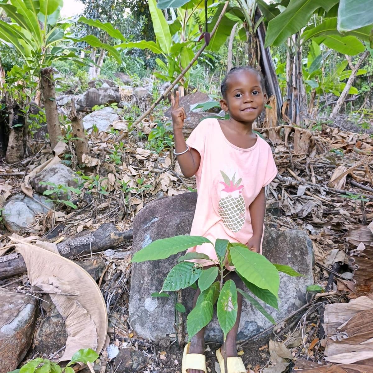 Une fillette fait coucou à côté d’un jeune plant de cacaoyer
